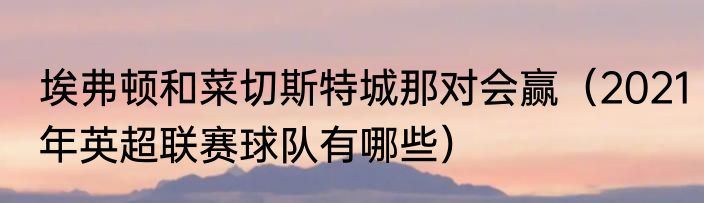 埃弗顿和菜切斯特城那对会赢（2021年英超联赛球队有哪些）