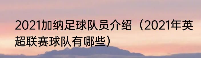 2021加纳足球队员介绍（2021年英超联赛球队有哪些）