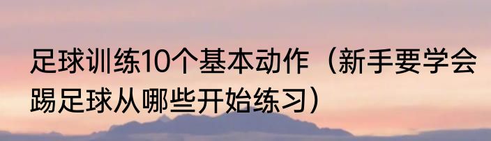 足球训练10个基本动作（新手要学会踢足球从哪些开始练习）