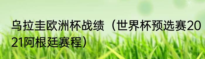 乌拉圭欧洲杯战绩（世界杯预选赛2021阿根廷赛程）
