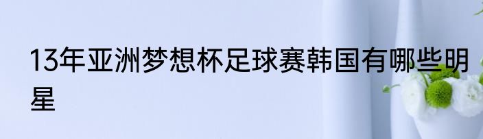 13年亚洲梦想杯足球赛韩国有哪些明星