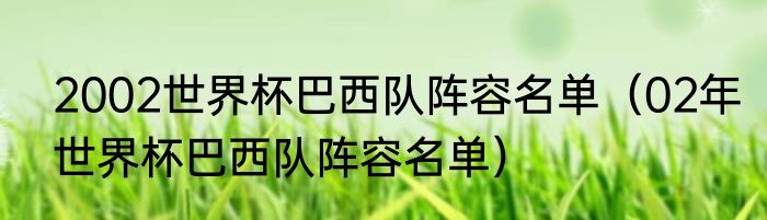 2002世界杯巴西队阵容名单（02年世界杯巴西队阵容名单）