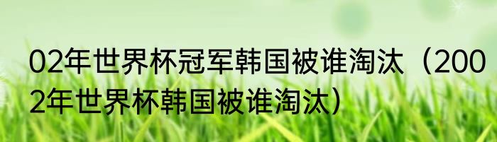 02年世界杯冠军韩国被谁淘汰（2002年世界杯韩国被谁淘汰）