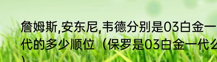 詹姆斯,安东尼,韦德分别是03白金一代的多少顺位（保罗是03白金一代么）