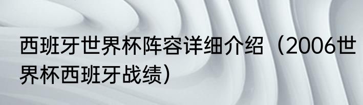 西班牙世界杯阵容详细介绍（2006世界杯西班牙战绩）