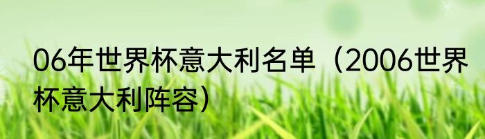 06年世界杯意大利名单（2006世界杯意大利阵容）