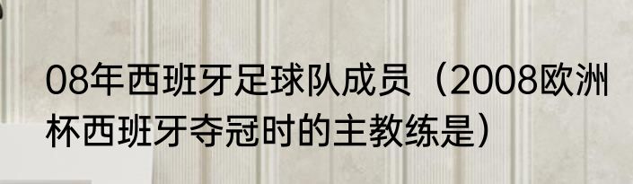 08年西班牙足球队成员（2008欧洲杯西班牙夺冠时的主教练是）