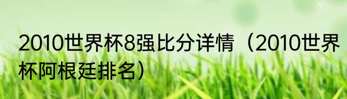 2010世界杯8强比分详情（2010世界杯阿根廷排名）