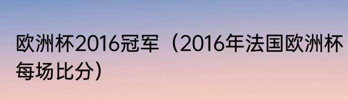 欧洲杯2016冠军（2016年法国欧洲杯每场比分）