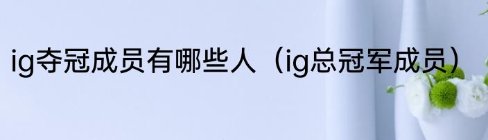 ig夺冠成员有哪些人(ig总冠军成员)