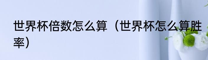 世界杯倍数怎么算（世界杯怎么算胜率）