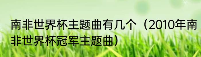 南非世界杯主题曲有几个（2010年南非世界杯冠军主题曲）
