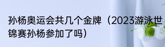 孙杨奥运会共几个金牌（2023游泳世锦赛孙杨参加了吗）