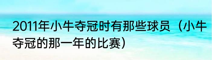 2011年小牛夺冠时有那些球员（小牛夺冠的那一年的比赛）