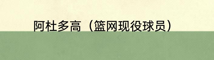阿杜多高（篮网现役球员）