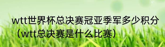wtt世界杯总决赛冠亚季军多少积分（wtt总决赛是什么比赛）