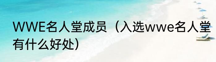 WWE名人堂成员（入选wwe名人堂有什么好处）