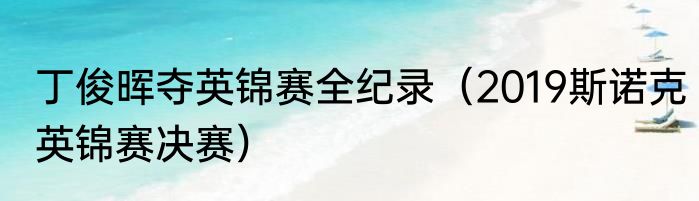 丁俊晖夺英锦赛全纪录（2019斯诺克英锦赛决赛）