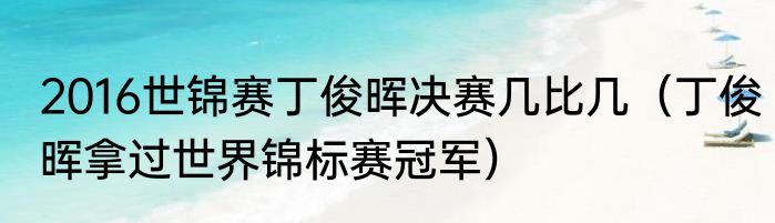 2016世锦赛丁俊晖决赛几比几（丁俊晖拿过世界锦标赛冠军）