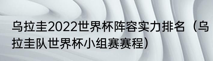 乌拉圭2022世界杯阵容实力排名（乌拉圭队世界杯小组赛赛程）