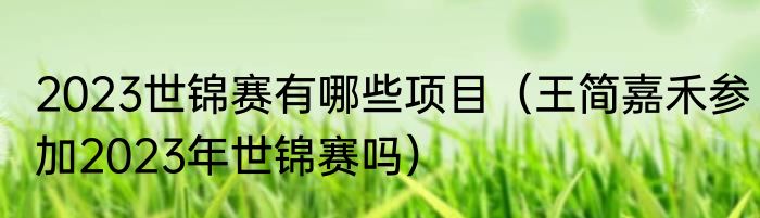 2023世锦赛有哪些项目（王简嘉禾参加2023年世锦赛吗）