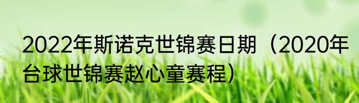 2022年斯诺克世锦赛日期（2020年台球世锦赛赵心童赛程）