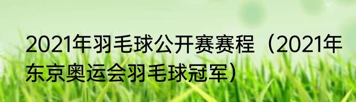 2021年羽毛球公开赛赛程（2021年东京奥运会羽毛球冠军）