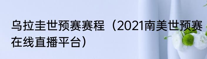 乌拉圭世预赛赛程（2021南美世预赛在线直播平台）
