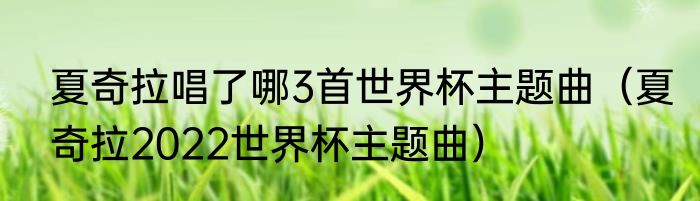 夏奇拉唱了哪3首世界杯主题曲（夏奇拉2022世界杯主题曲）