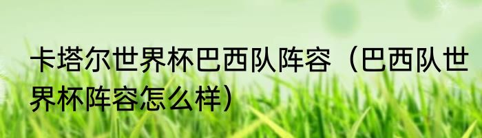 卡塔尔世界杯巴西队阵容（巴西队世界杯阵容怎么样）