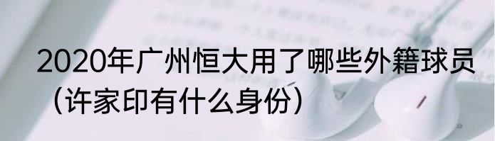2020年广州恒大用了哪些外籍球员（许家印有什么身份）
