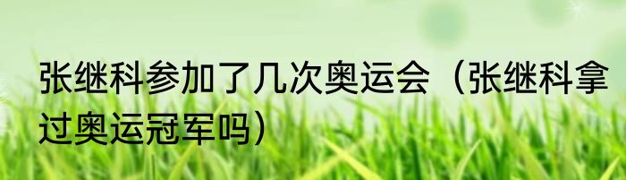 张继科参加了几次奥运会（张继科拿过奥运冠军吗）