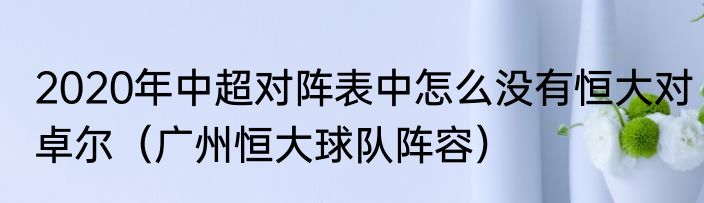 2020年中超对阵表中怎么没有恒大对卓尔（广州恒大球队阵容）