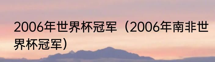 2006年世界杯冠军（2006年南非世界杯冠军）