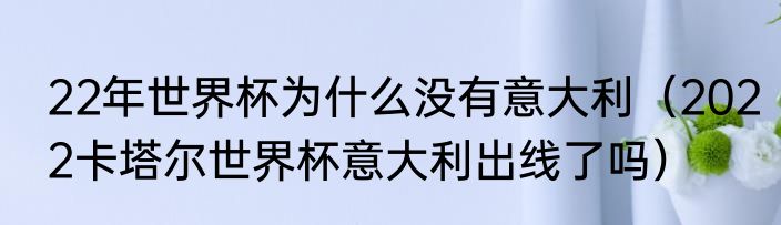 22年世界杯为什么没有意大利（2022卡塔尔世界杯意大利出线了吗）
