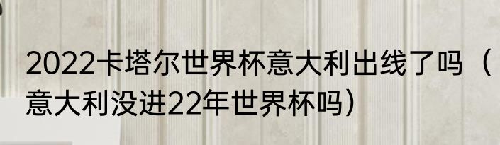 2022卡塔尔世界杯意大利出线了吗（意大利没进22年世界杯吗）