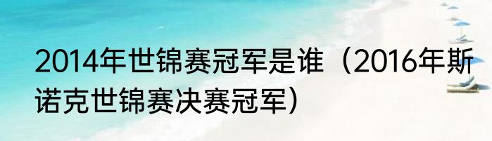 2014年世锦赛冠军是谁（2016年斯诺克世锦赛决赛冠军）