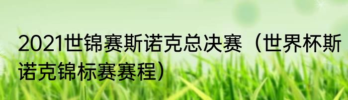 2021世锦赛斯诺克总决赛（世界杯斯诺克锦标赛赛程）