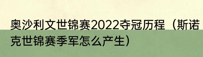 奥沙利文世锦赛2022夺冠历程（斯诺克世锦赛季军怎么产生）