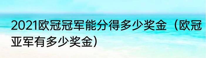 2021欧冠冠军能分得多少奖金（欧冠亚军有多少奖金）
