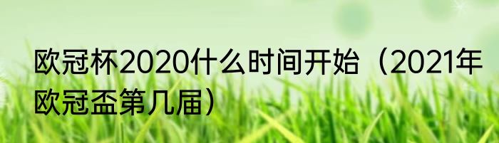 欧冠杯2020什么时间开始（2021年欧冠盃第几届）