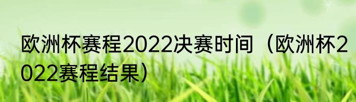 欧洲杯赛程2022决赛时间（欧洲杯2022赛程结果）