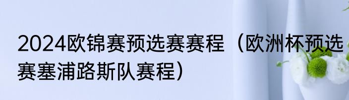 2024欧锦赛预选赛赛程（欧洲杯预选赛塞浦路斯队赛程）