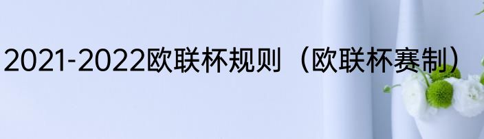 2021-2022欧联杯规则（欧联杯赛制）