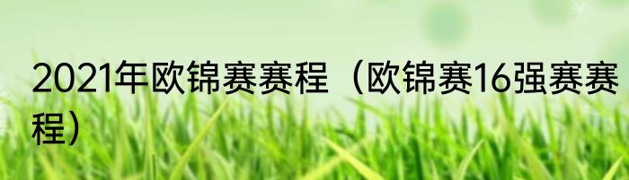 2021年欧锦赛赛程（欧锦赛16强赛赛程）