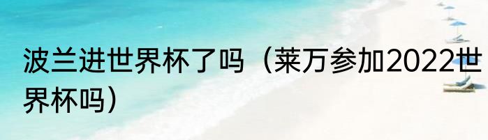 波兰进世界杯了吗（莱万参加2022世界杯吗）