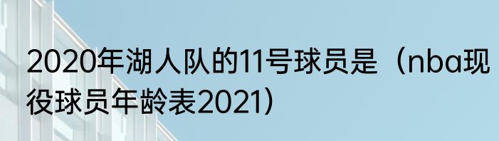 2020年湖人队的11号球员是（nba现役球员年龄表2021）