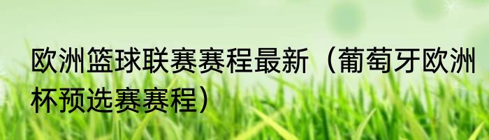 欧洲篮球联赛赛程最新（葡萄牙欧洲杯预选赛赛程）