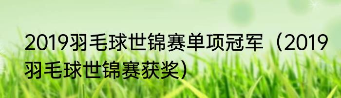 2019羽毛球世锦赛单项冠军（2019羽毛球世锦赛获奖）