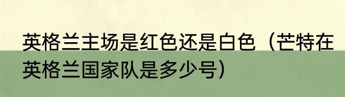 英格兰主场是红色还是白色（芒特在英格兰国家队是多少号）